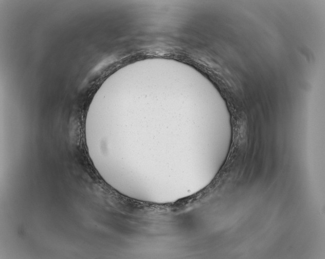 X0000111431446200908031321