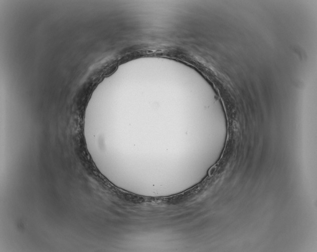 X0000111431447200908031321