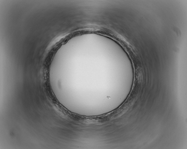 X0000111431448200908031321