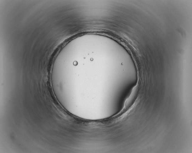 X0000111431449200908031321