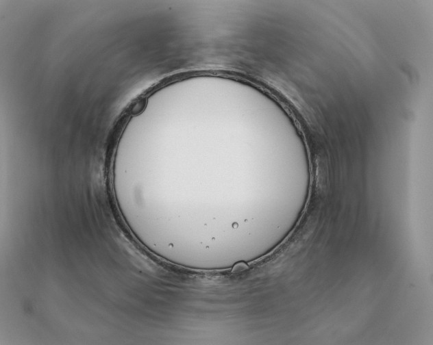 X0000111431452200908031321