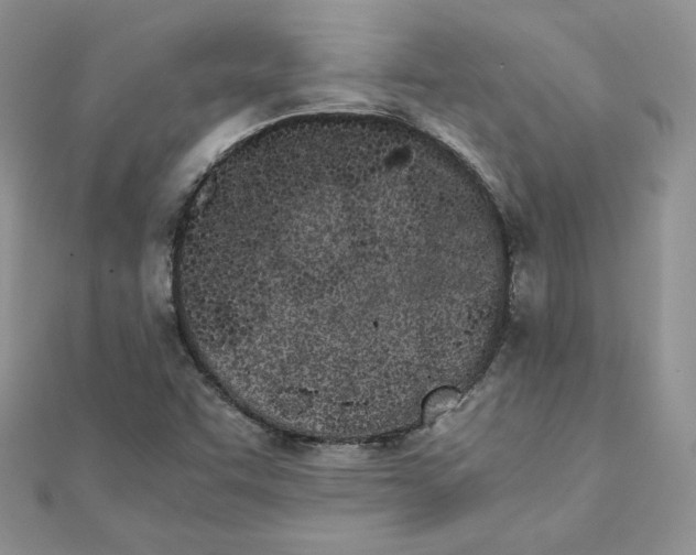 X0000111431455200908031321