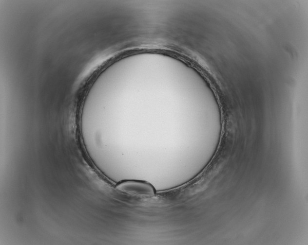 X0000111431456200908031321