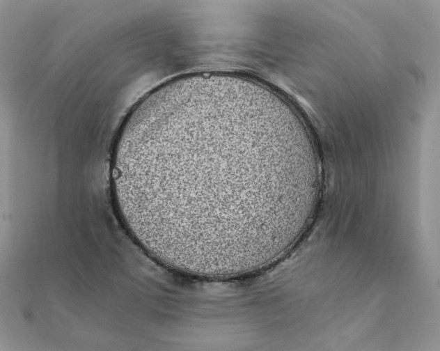 X0000111431459200908031321