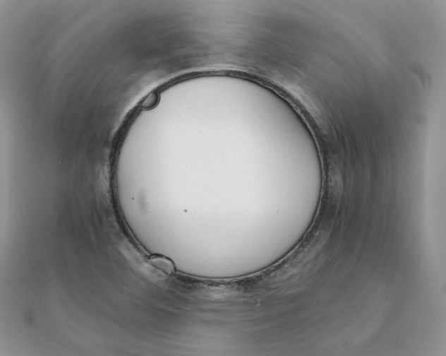 X0000111431460200908031321