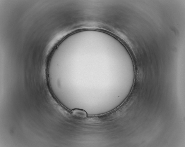 X0000111431464200908031321