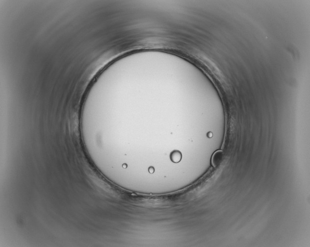 X0000111431465200908031321