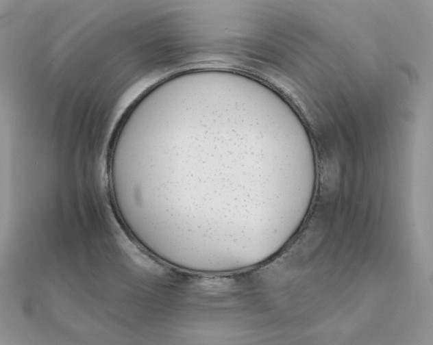 X0000111431466200908031321