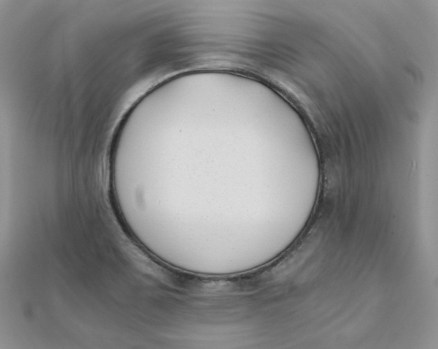 X0000111431467200908031321