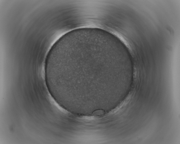 X0000111431468200908031321