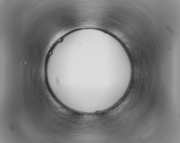 X0000111431469200908031321