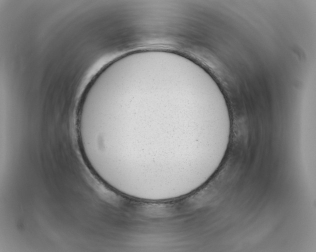 X0000111431470200908031321