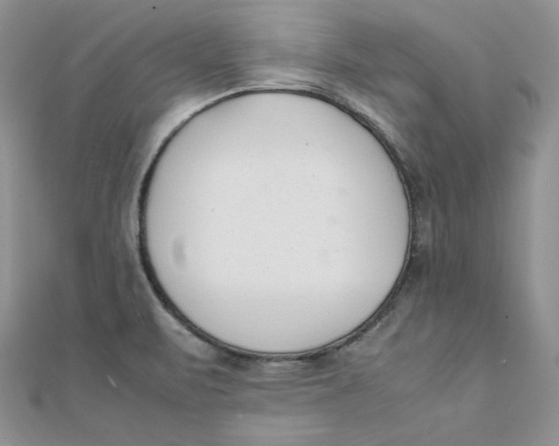 X0000111431471200908031321