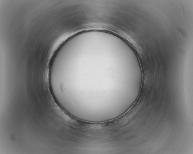 X0000111431472200908031321