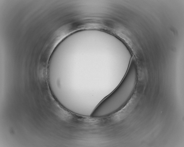 X0000111431473200908031321