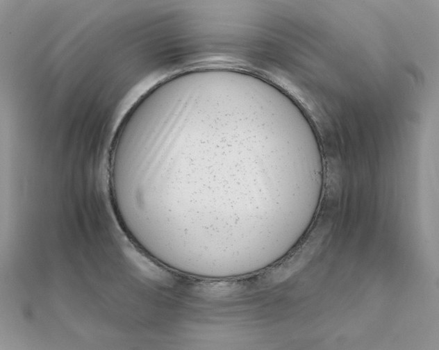 X0000111431474200908031321