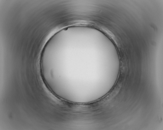 X0000111431475200908031321