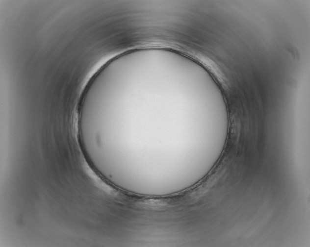 X0000111431476200908031321