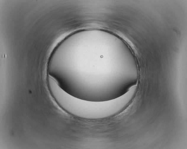 X0000111431477200908031321