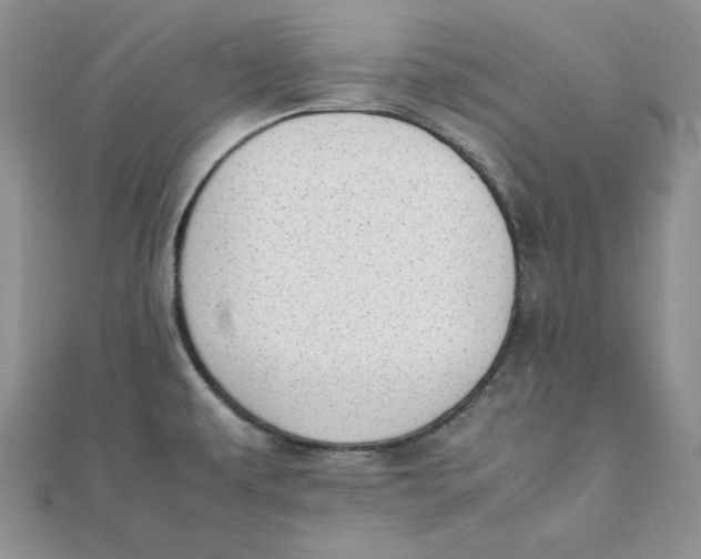 X0000111431479200908031321