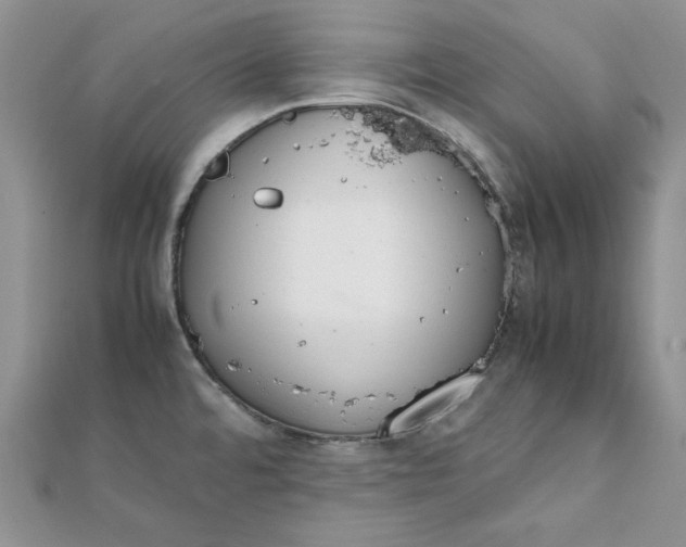 X0000111431480200908031321