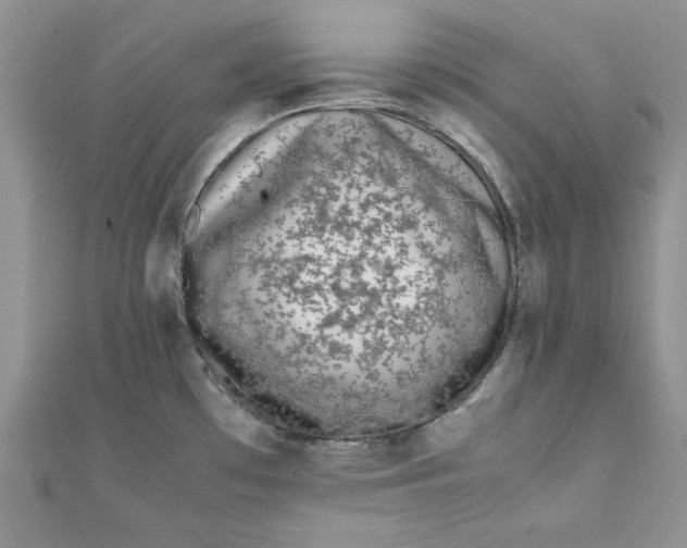 X0000111431481200908031321