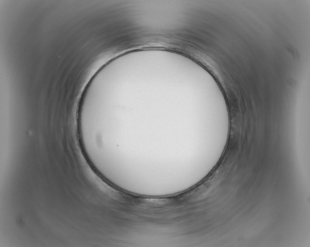 X0000111431483200908031321