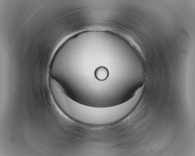 X0000111431484200908031321