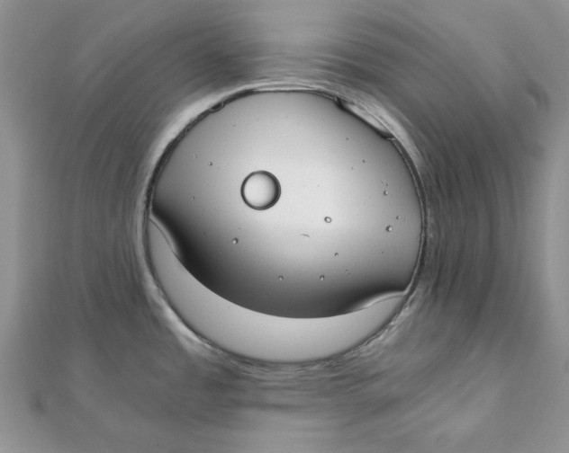 X0000111431485200908031321