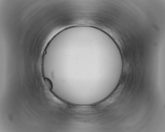 X0000111431486200908031321