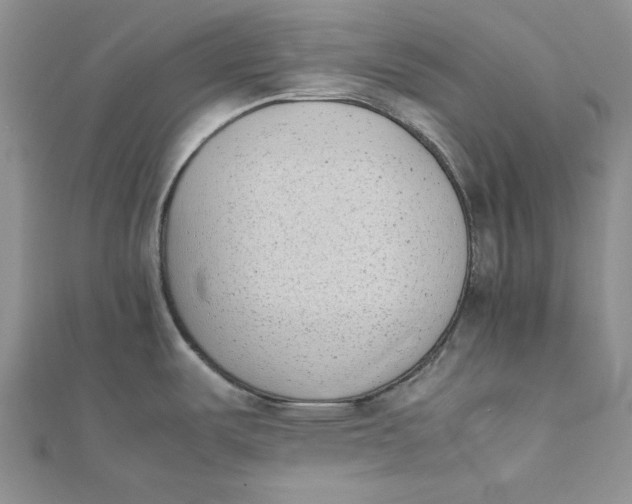 X0000111431487200908031321