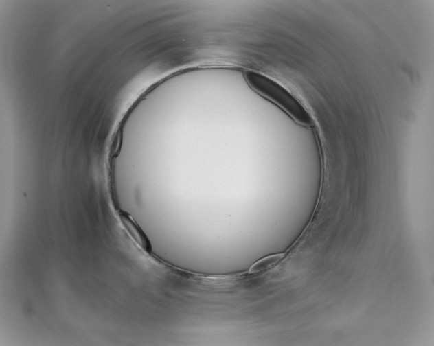 X0000111431488200908031321