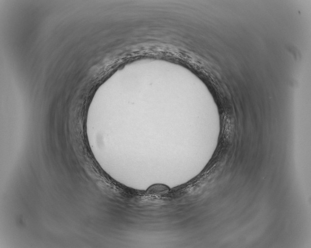 X0000111431489200908031320