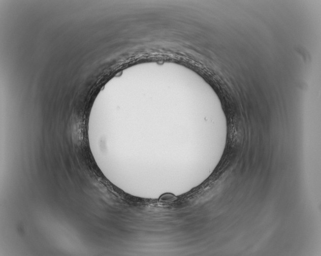 X0000111431490200908031320