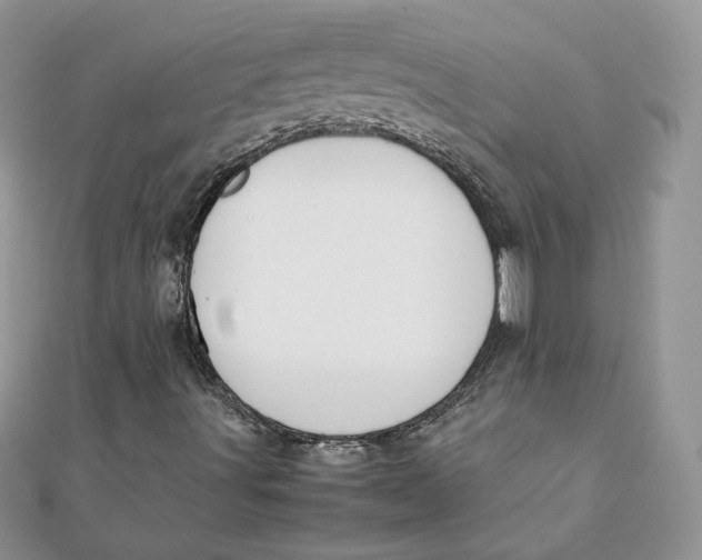 X0000111431491200908031320