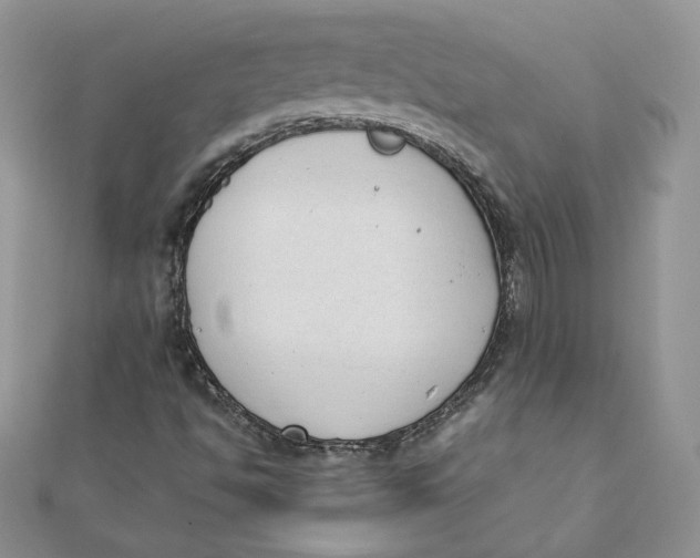 X0000111431494200908031320