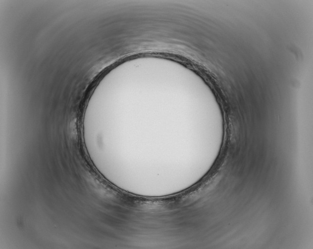 X0000111431497200908031320