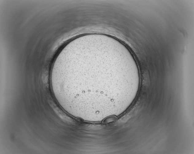 X0000111431499200908031320