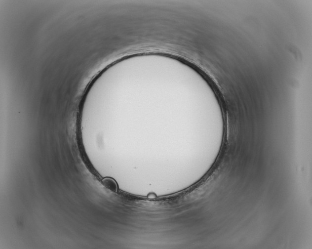 X0000111431500200908031320