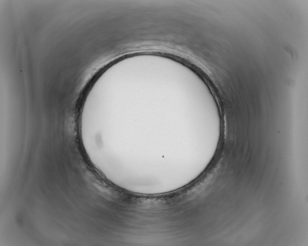 X0000111431501200908031320