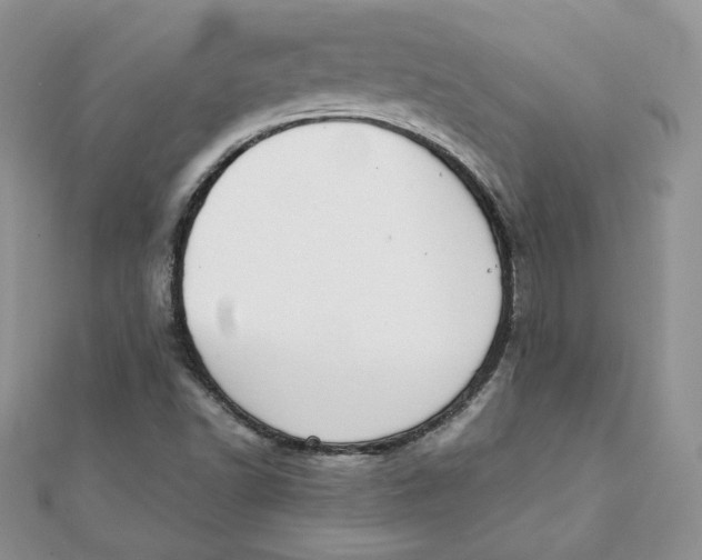 X0000111431502200908031320