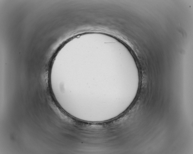 X0000111431503200908031320