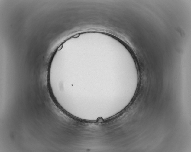 X0000111431504200908031320