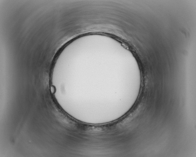 X0000111431505200908031320