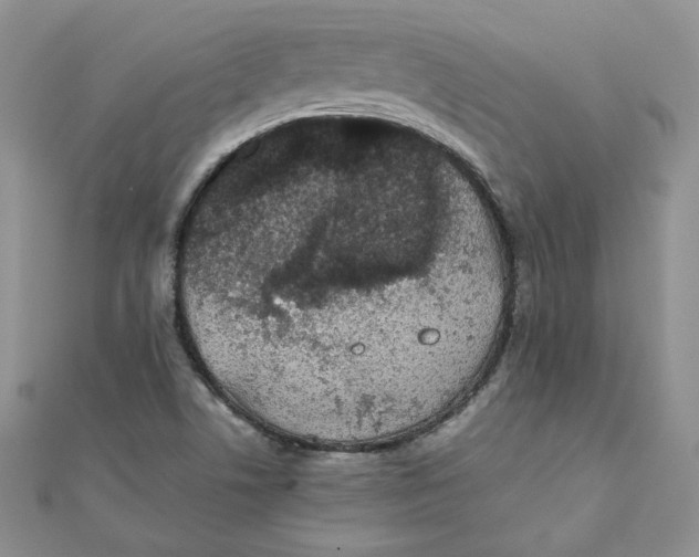 X0000111431506200908031320