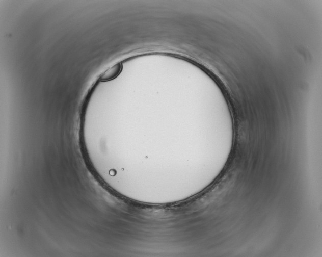 X0000111431508200908031320