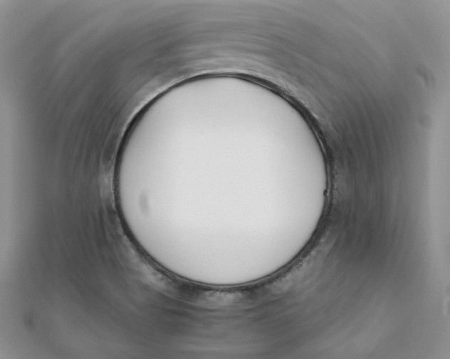 X0000111431513200908031320