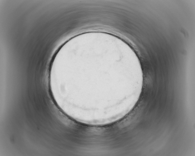 X0000111431514200908031320