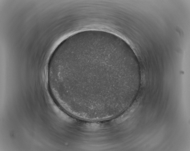 X0000111431515200908031320