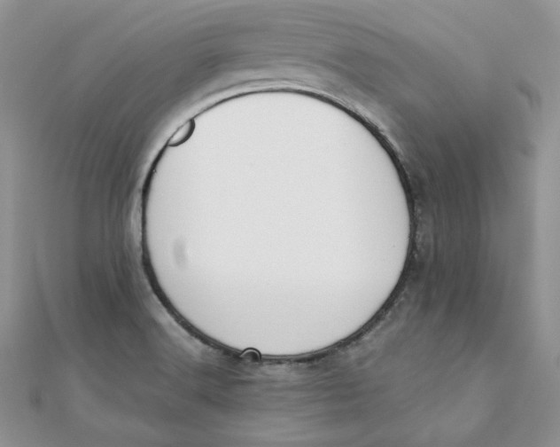 X0000111431516200908031320